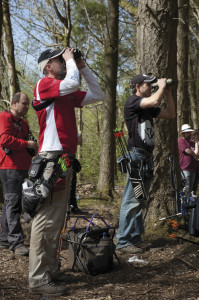 A decent set of binoculars will help you plot your arrows 